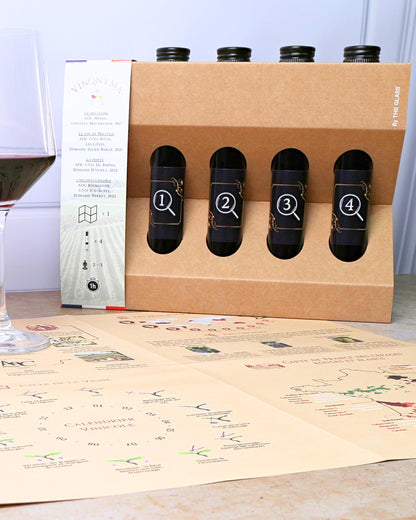 L'œnologue en Herbe N°1 Vin Rouge : Jeu de Dégustation à l'Aveugle