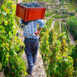 Domaine Barge