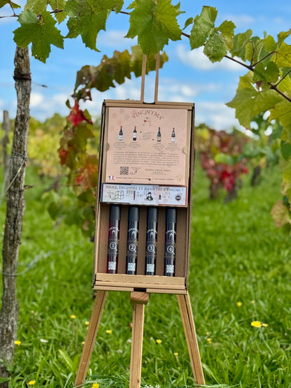 L'œnologue en Herbe N°2 Vin Rouge : Jeu de Dégustation à l'Aveugle