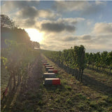 Domaine Michel Gros