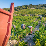 Domaine d'Ouréa