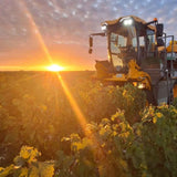 Domaine Roger Pabiot