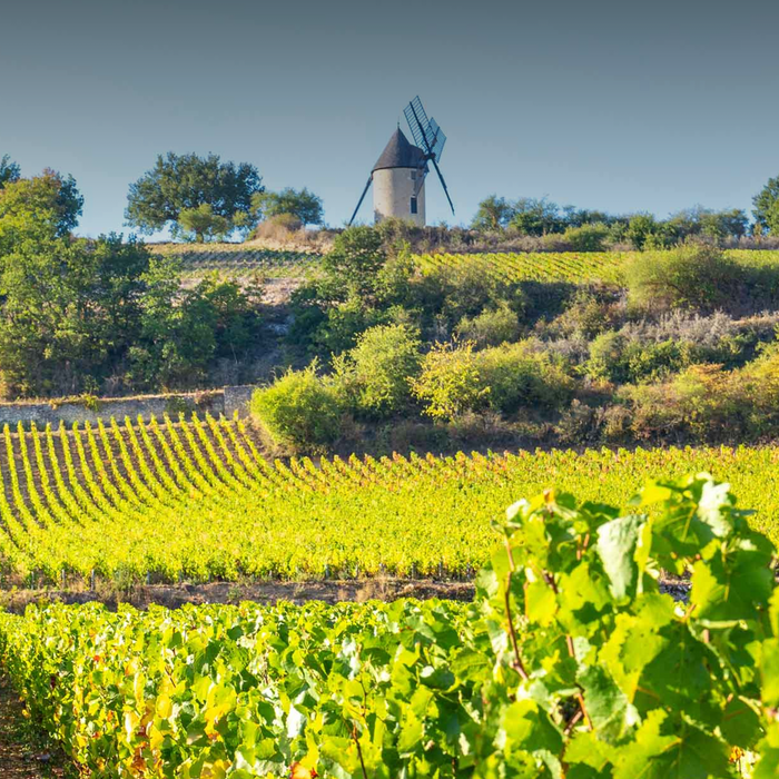 Domaine René Lequin-Colin