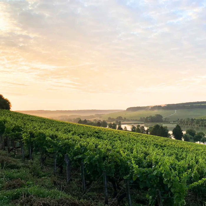 Domaine Verret